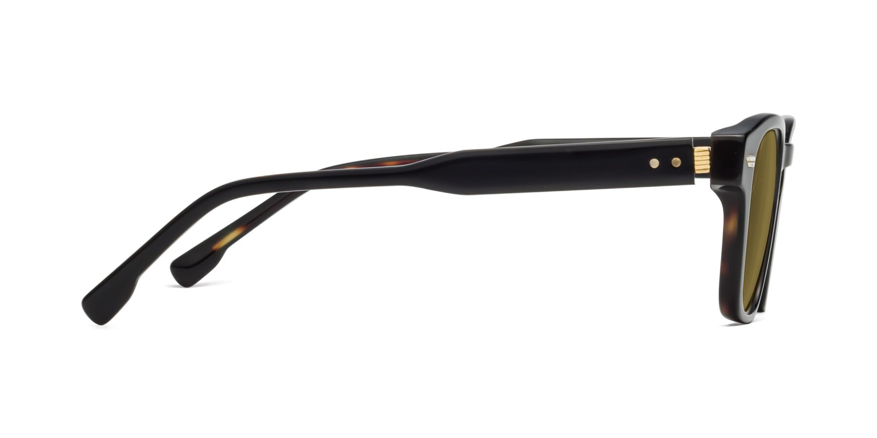 Side of 1421 in Black-Tortoise with Brown Polarized Lenses