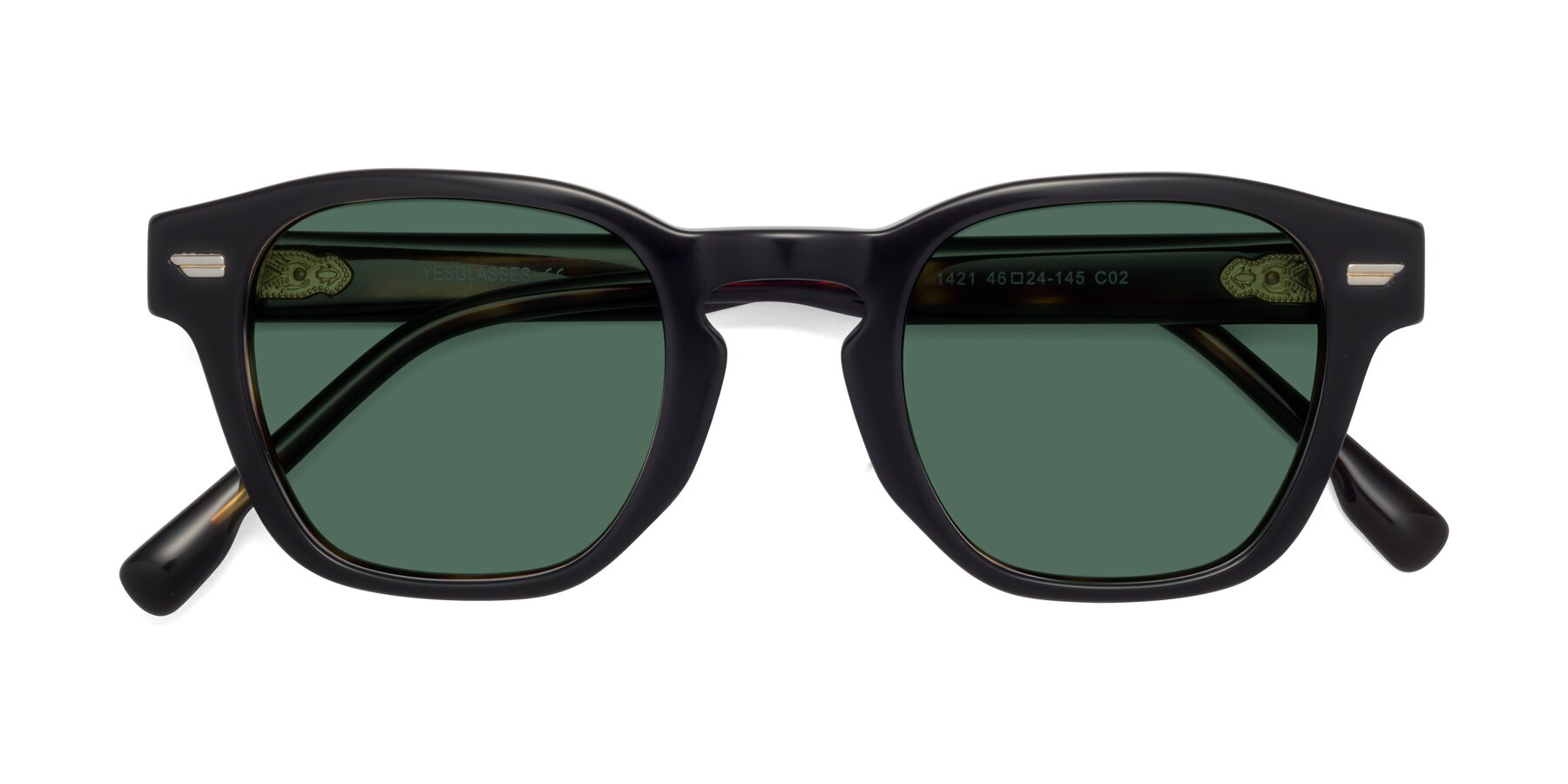 Folded Front of 1421 in Black-Tortoise with Green Polarized Lenses