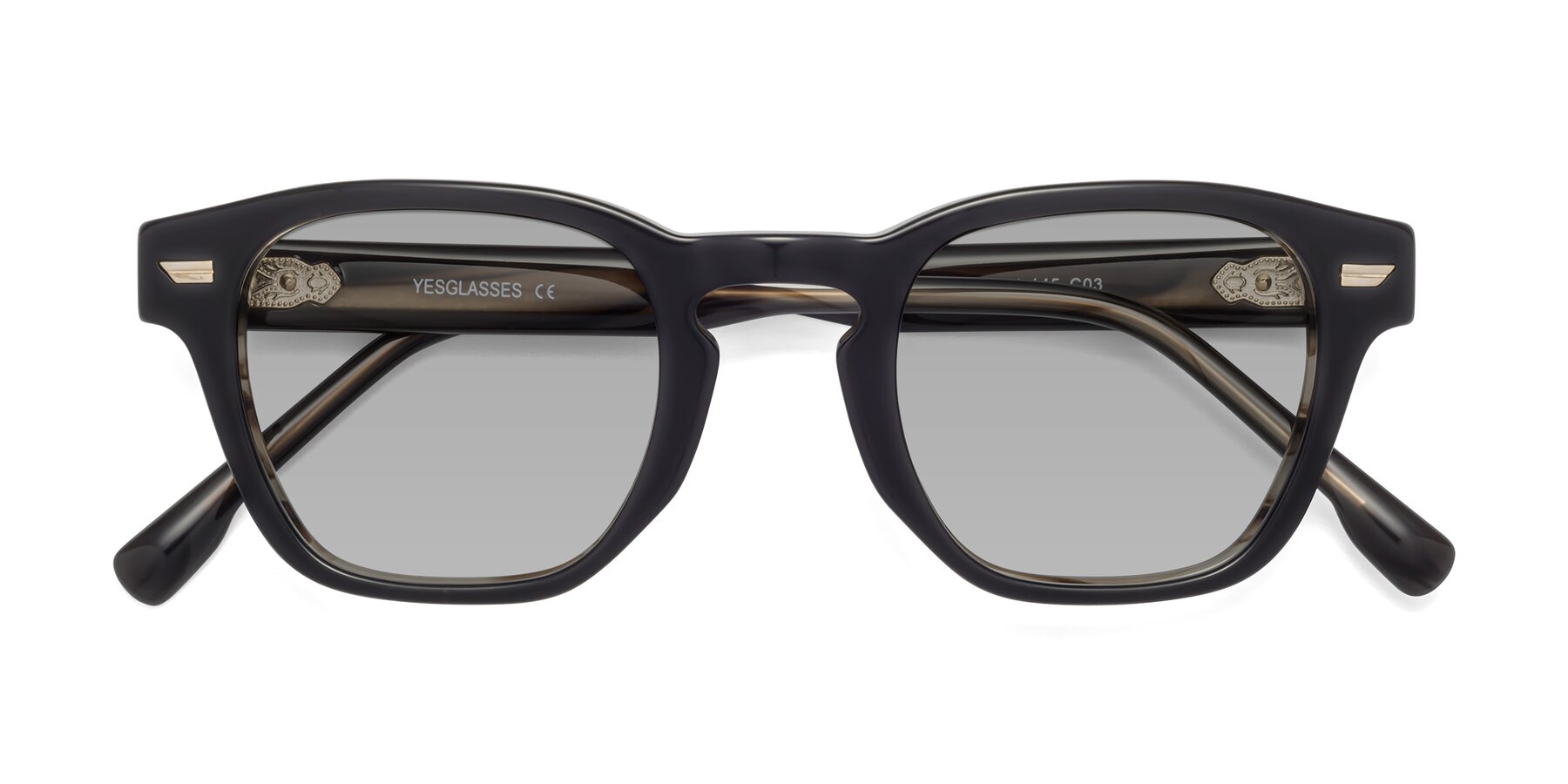 Folded Front of 1421 in Black-Stripe Brown with Light Gray Tinted Lenses