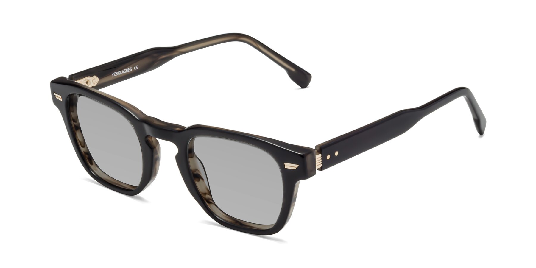 Angle of 1421 in Black-Stripe Brown with Light Gray Tinted Lenses