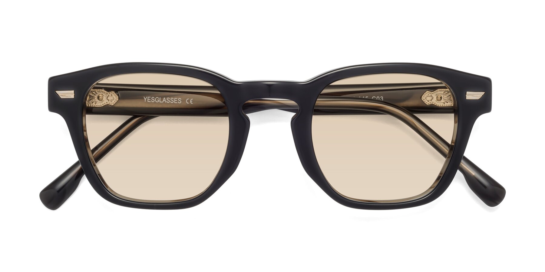Folded Front of 1421 in Black-Stripe Brown with Light Brown Tinted Lenses