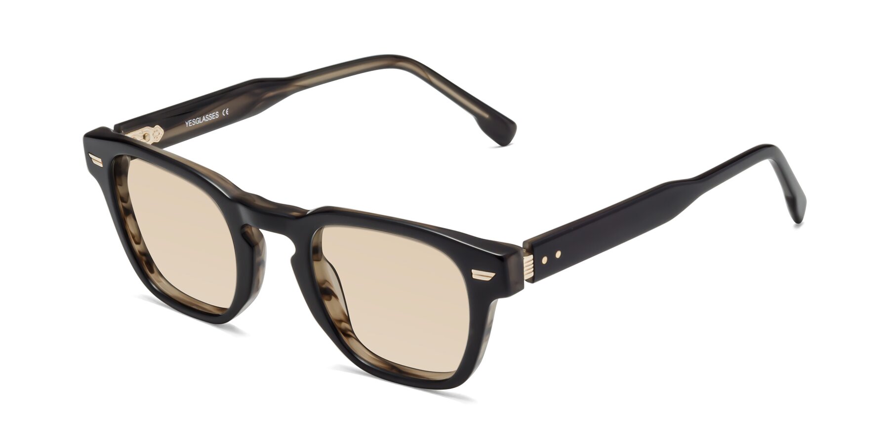 Angle of 1421 in Black-Stripe Brown with Light Brown Tinted Lenses