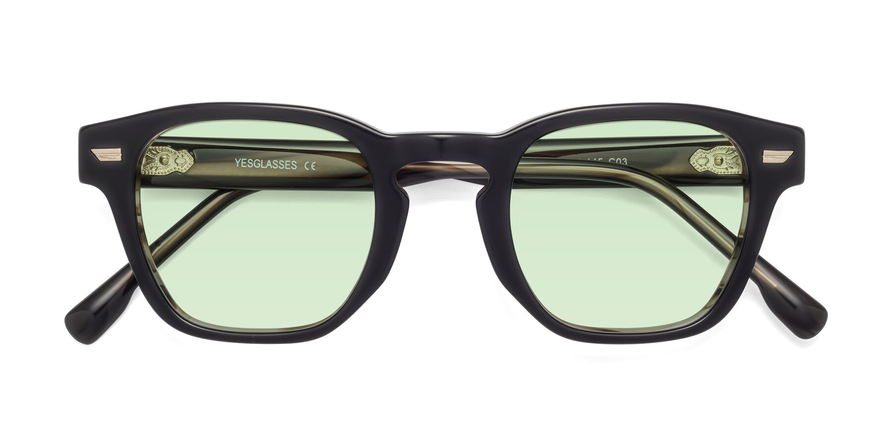 Folded Front of 1421 in Black-Stripe Brown with Light Green Tinted Lenses