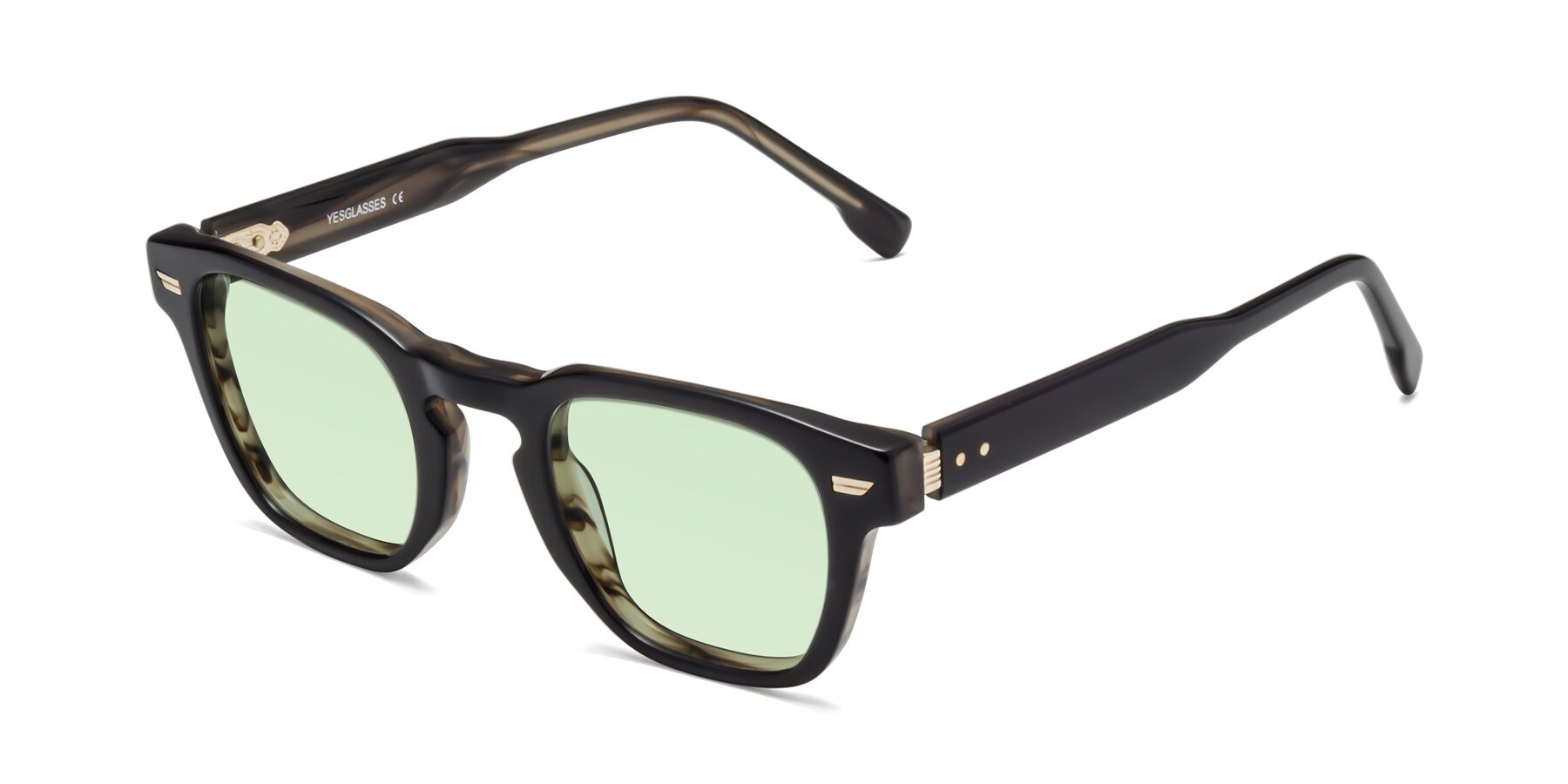 Angle of 1421 in Black-Stripe Brown with Light Green Tinted Lenses