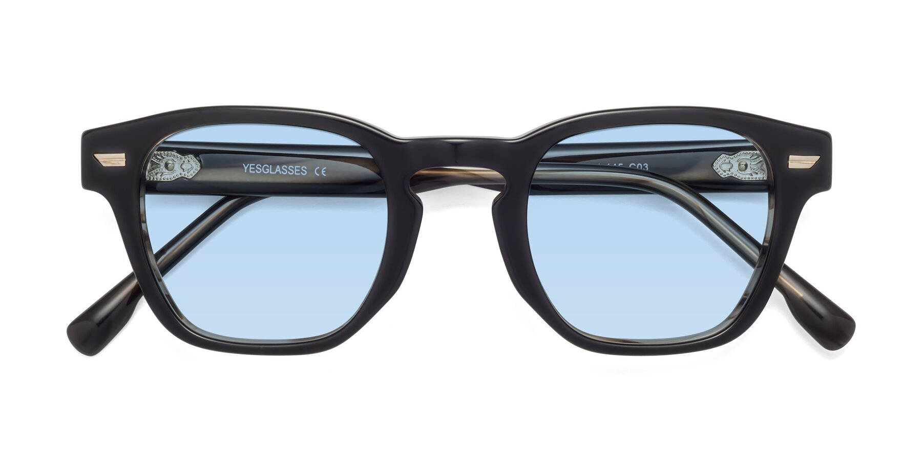 Folded Front of 1421 in Black-Stripe Brown with Light Blue Tinted Lenses