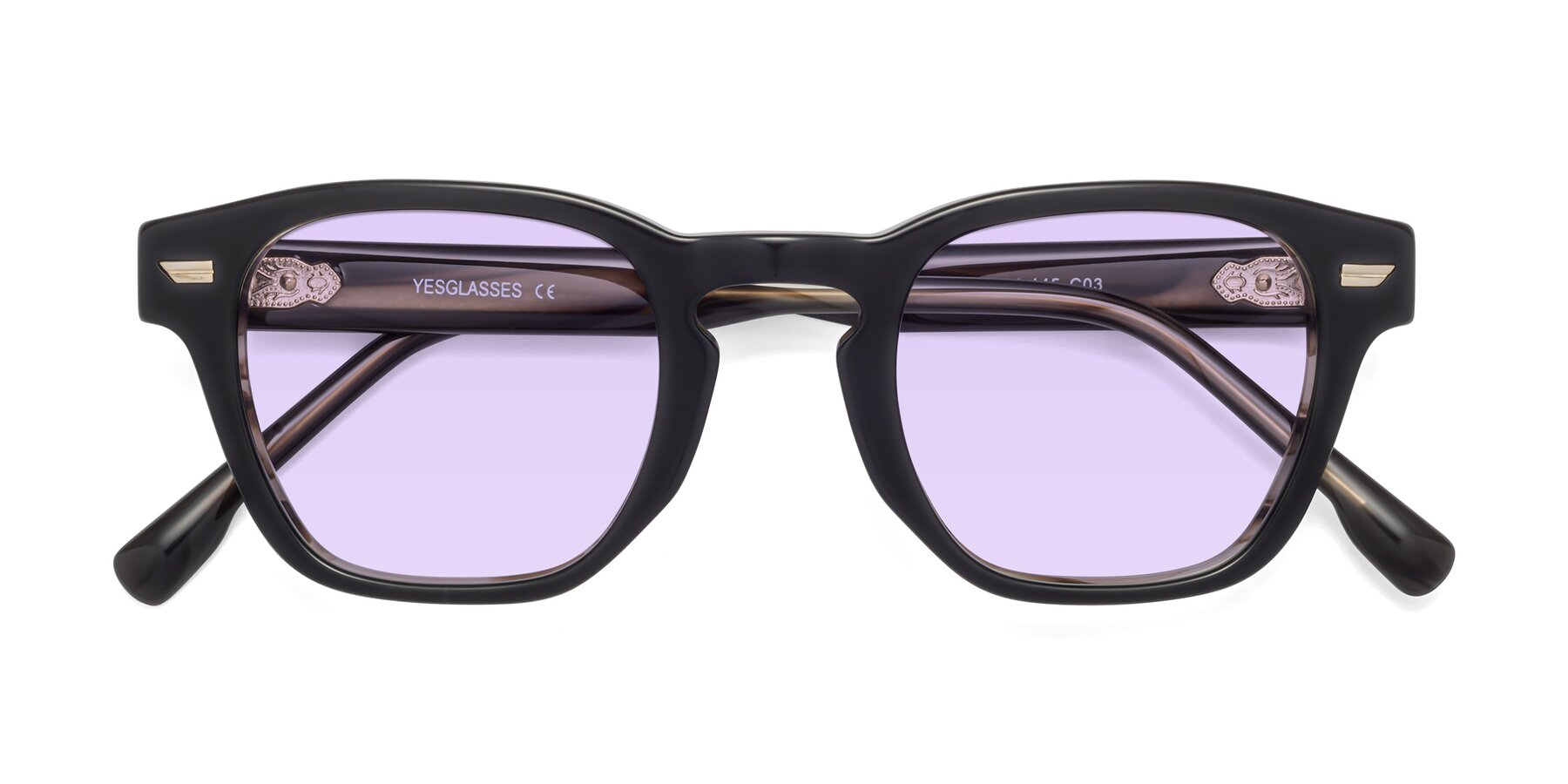 Folded Front of 1421 in Black-Stripe Brown with Light Purple Tinted Lenses
