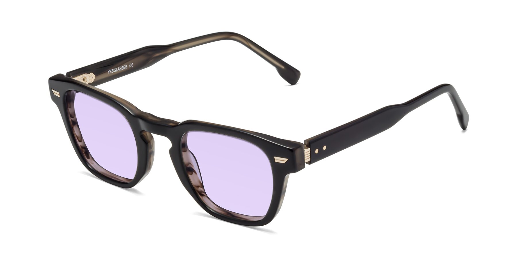 Angle of 1421 in Black-Stripe Brown with Light Purple Tinted Lenses