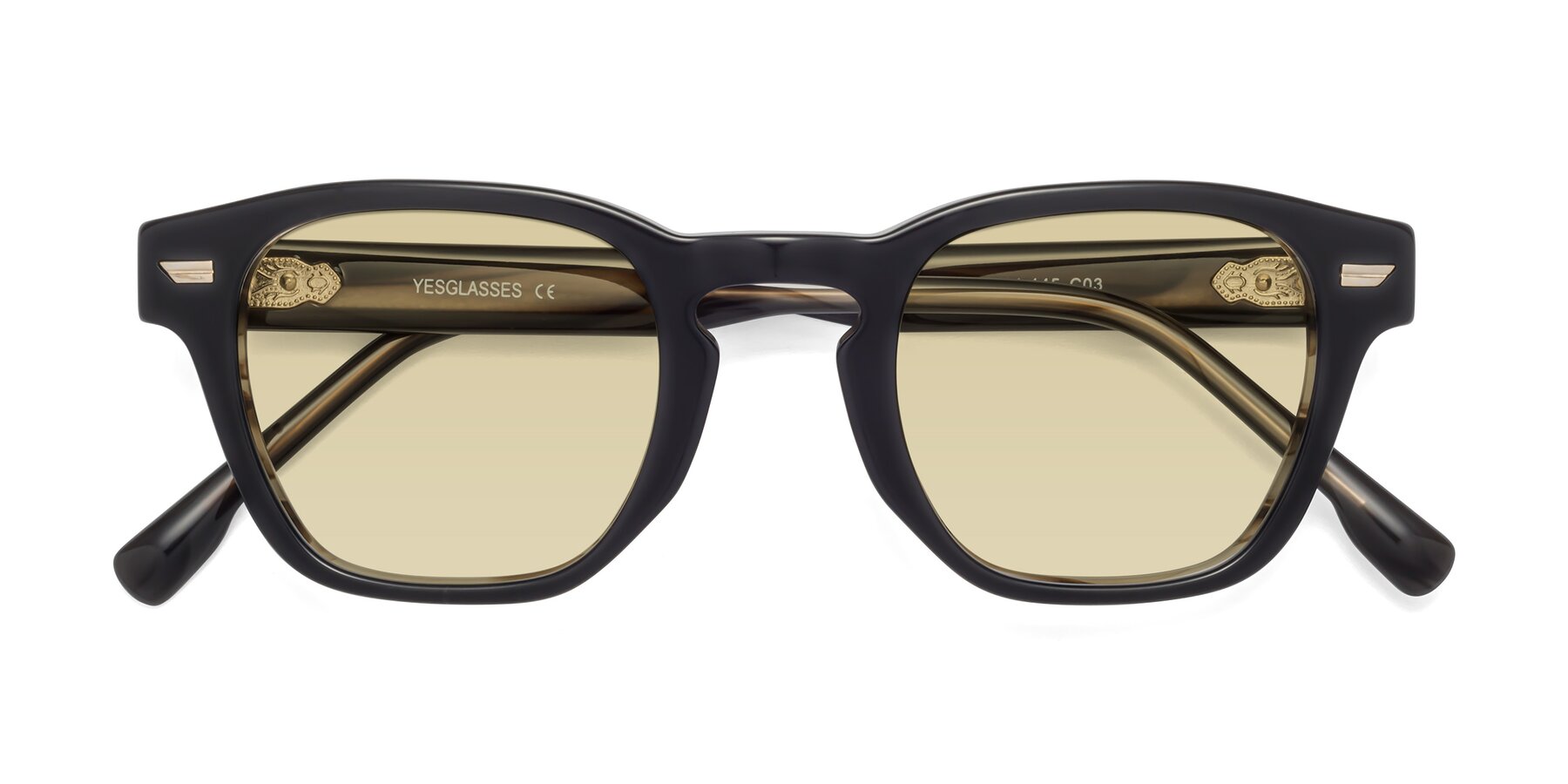 Folded Front of 1421 in Black-Stripe Brown with Light Champagne Tinted Lenses