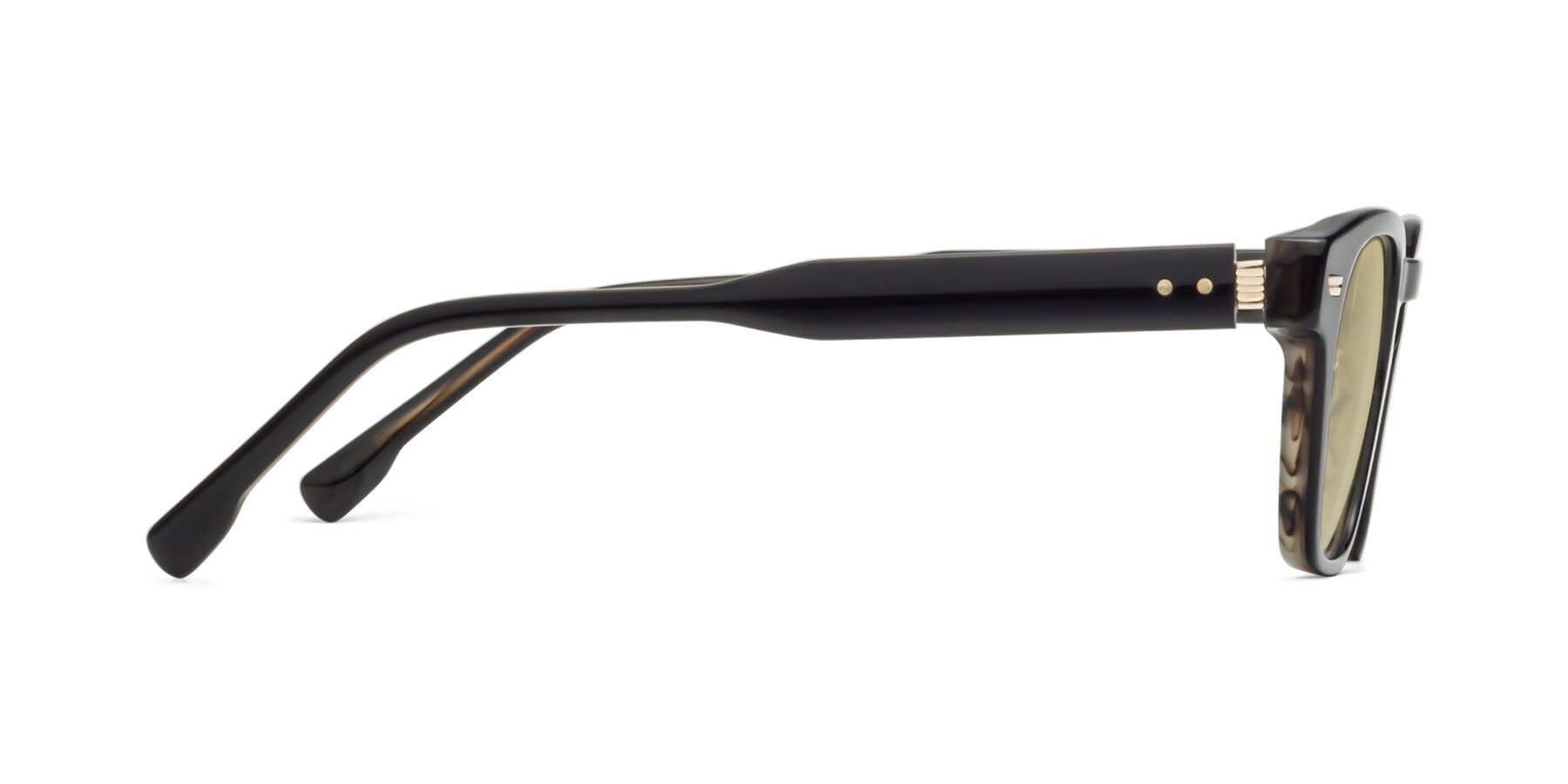 Side of 1421 in Black-Stripe Brown with Light Champagne Tinted Lenses