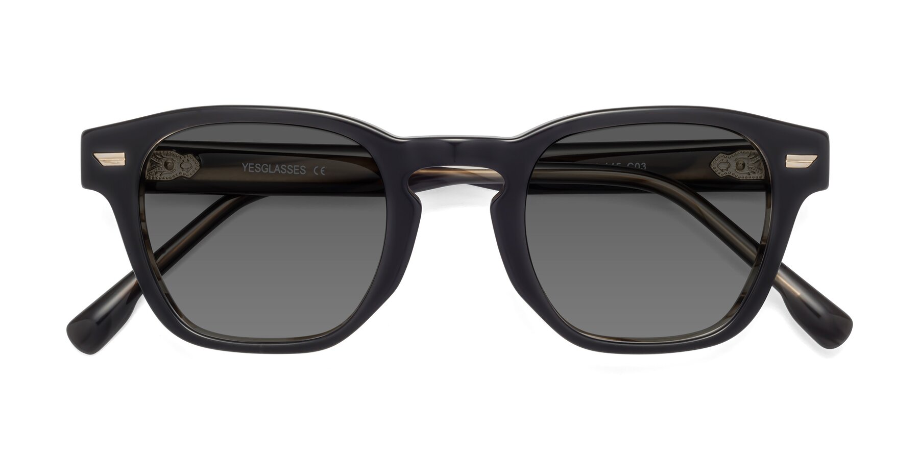 Folded Front of 1421 in Black-Stripe Brown with Medium Gray Tinted Lenses