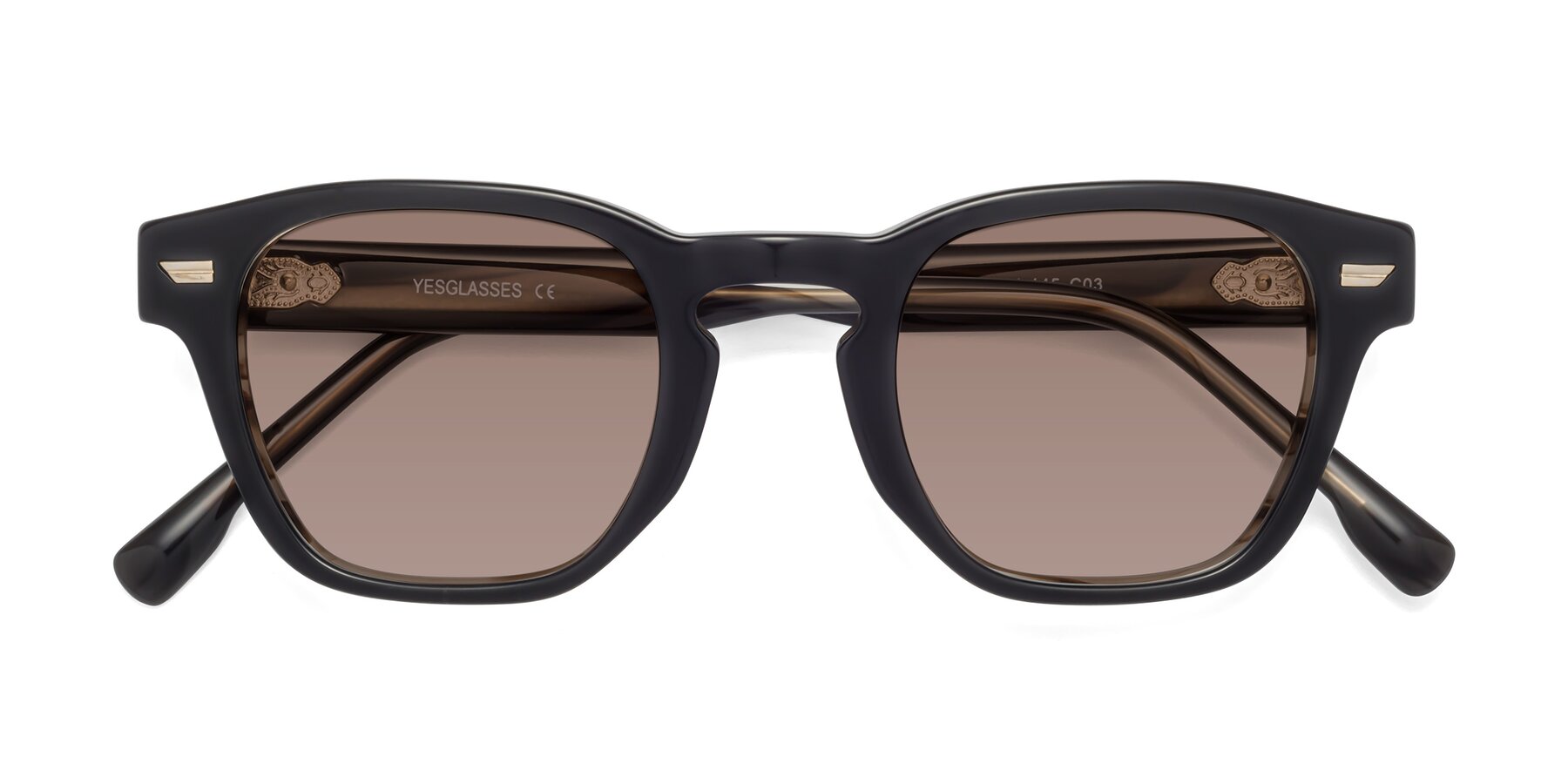 Folded Front of 1421 in Black-Stripe Brown with Medium Brown Tinted Lenses