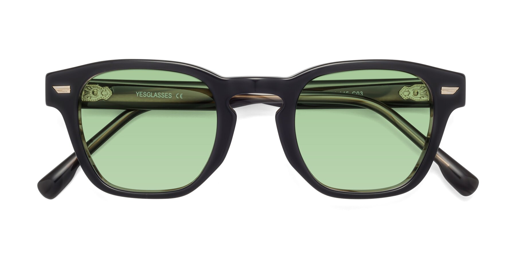 Folded Front of 1421 in Black-Stripe Brown with Medium Green Tinted Lenses