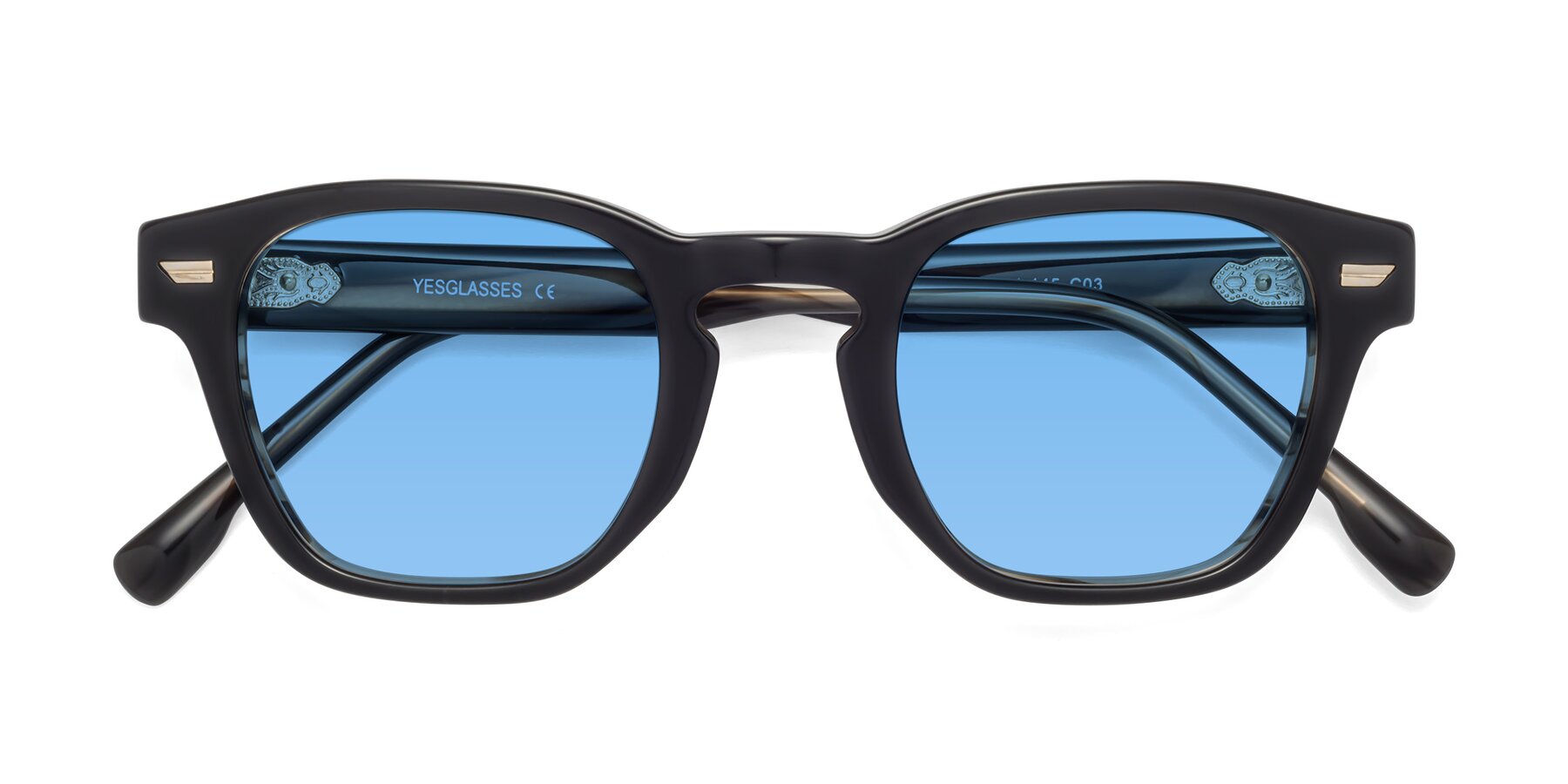 Folded Front of 1421 in Black-Stripe Brown with Medium Blue Tinted Lenses