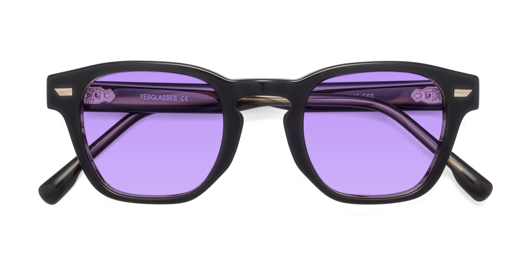 Folded Front of 1421 in Black-Stripe Brown with Medium Purple Tinted Lenses