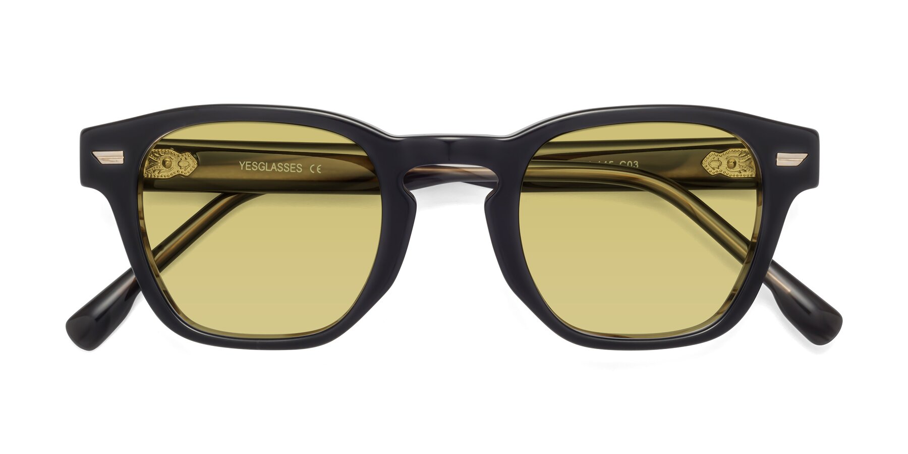 Folded Front of 1421 in Black-Stripe Brown with Medium Champagne Tinted Lenses