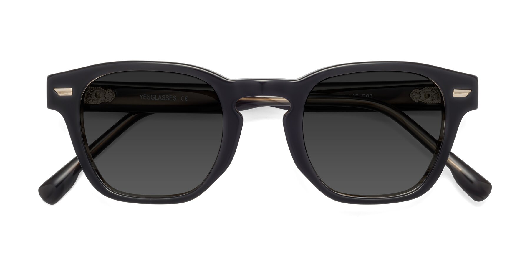 Folded Front of 1421 in Black-Stripe Brown with Gray Tinted Lenses