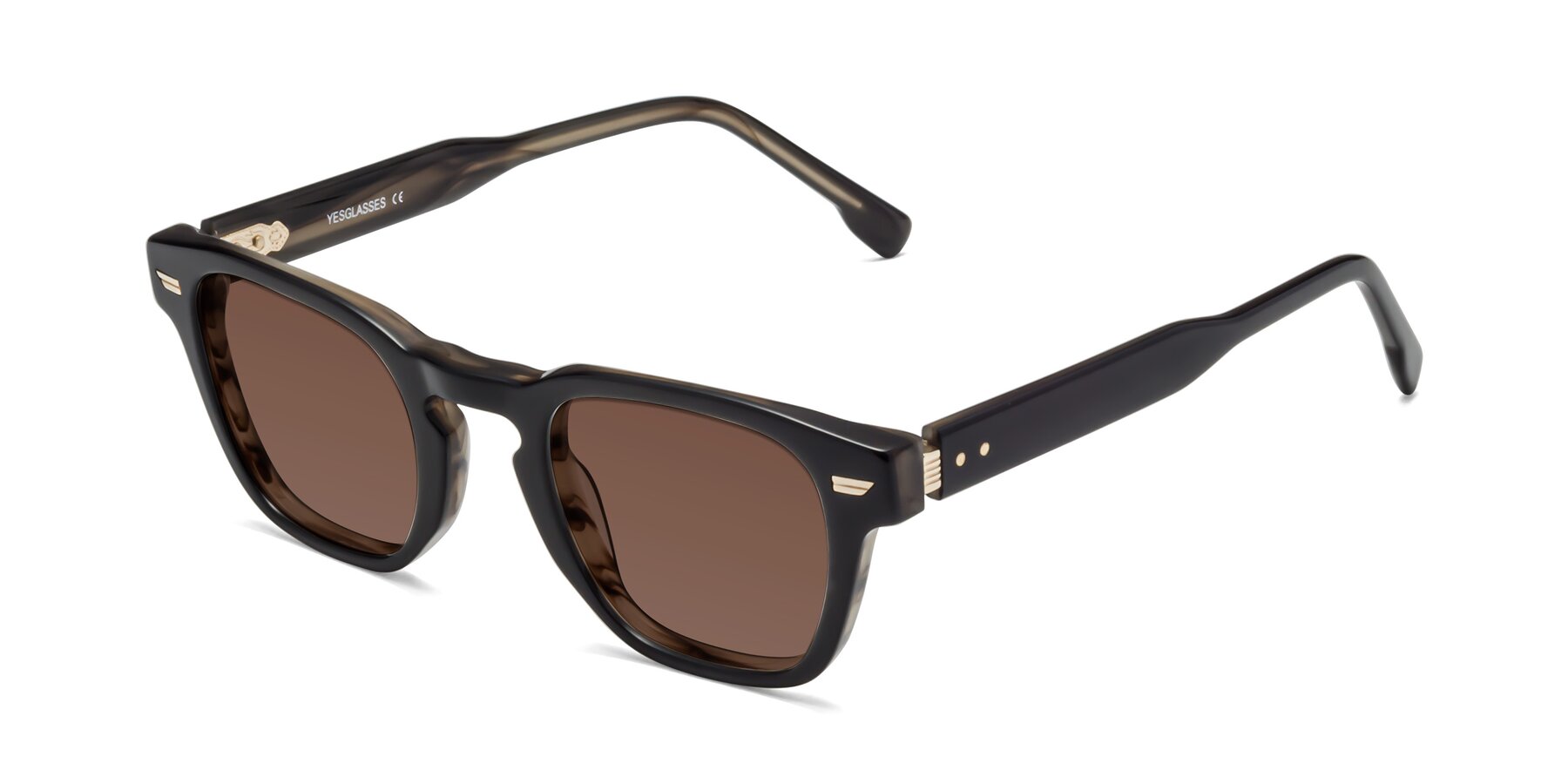 Angle of 1421 in Black-Stripe Brown with Brown Tinted Lenses