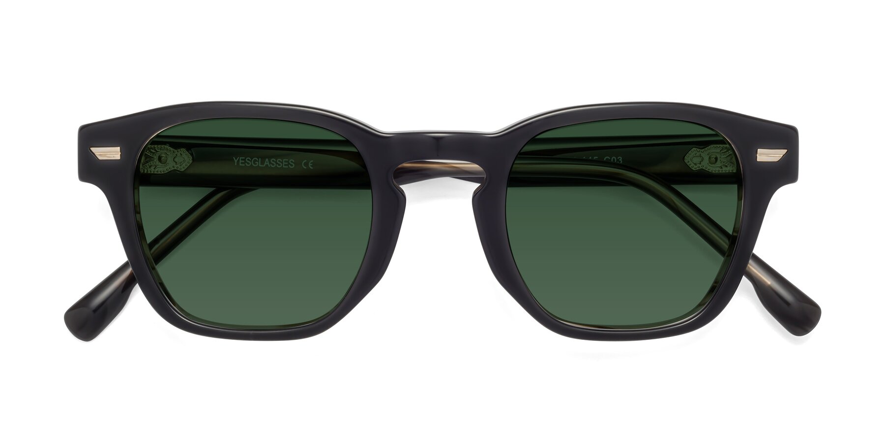 Folded Front of 1421 in Black-Stripe Brown with Green Tinted Lenses