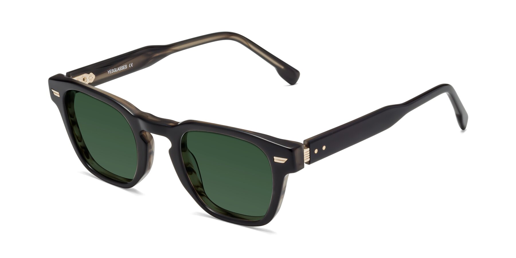 Angle of 1421 in Black-Stripe Brown with Green Tinted Lenses