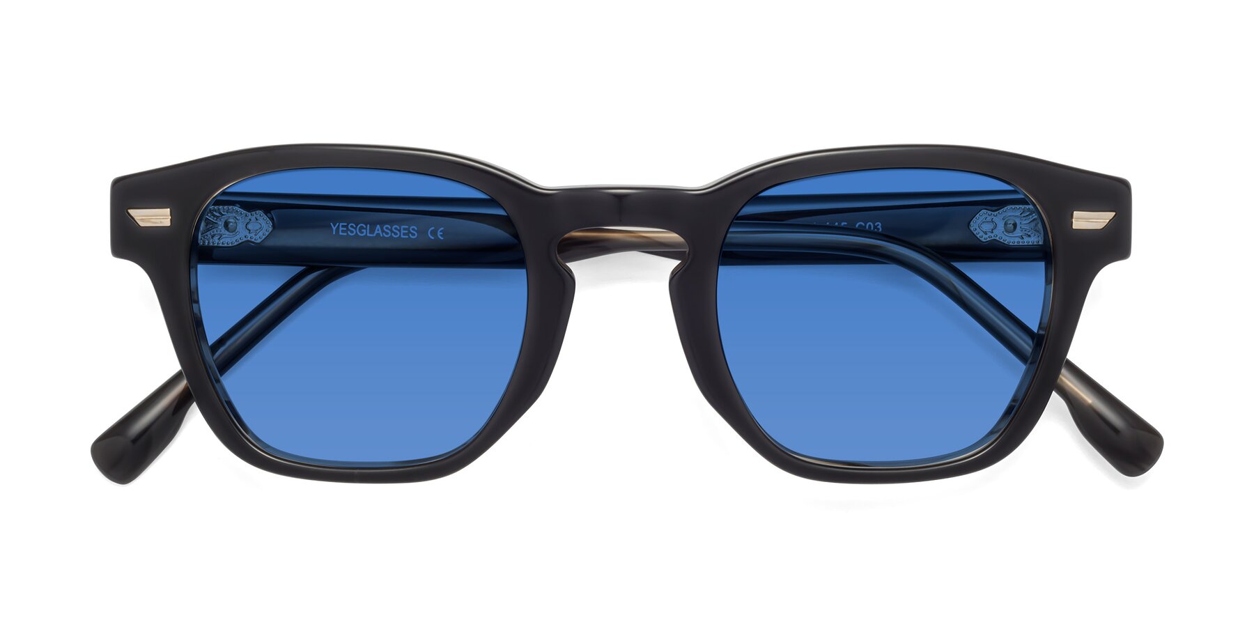 Folded Front of 1421 in Black-Stripe Brown with Blue Tinted Lenses