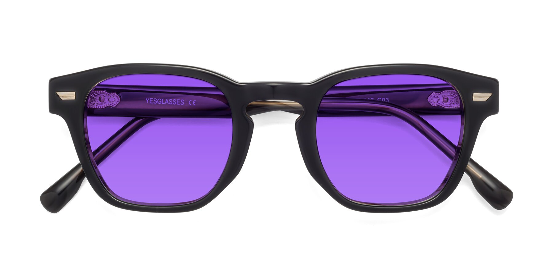 Folded Front of 1421 in Black-Stripe Brown with Purple Tinted Lenses