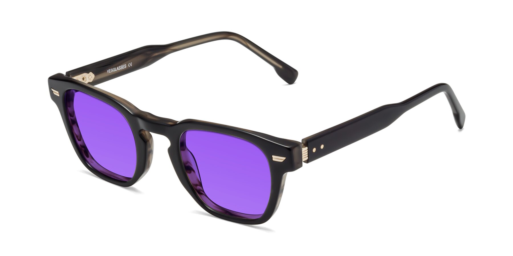 Angle of 1421 in Black-Stripe Brown with Purple Tinted Lenses