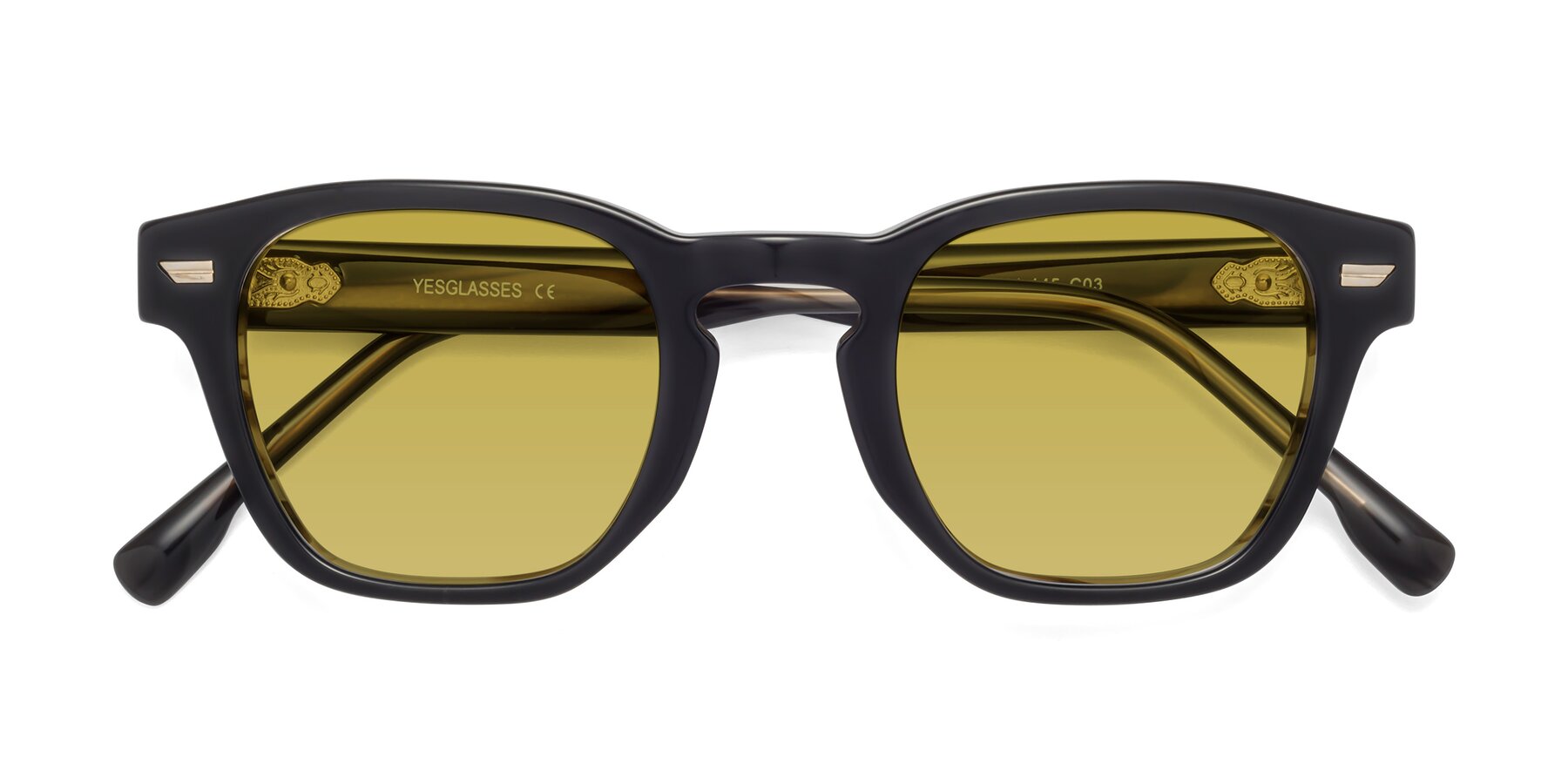 Folded Front of 1421 in Black-Stripe Brown with Champagne Tinted Lenses