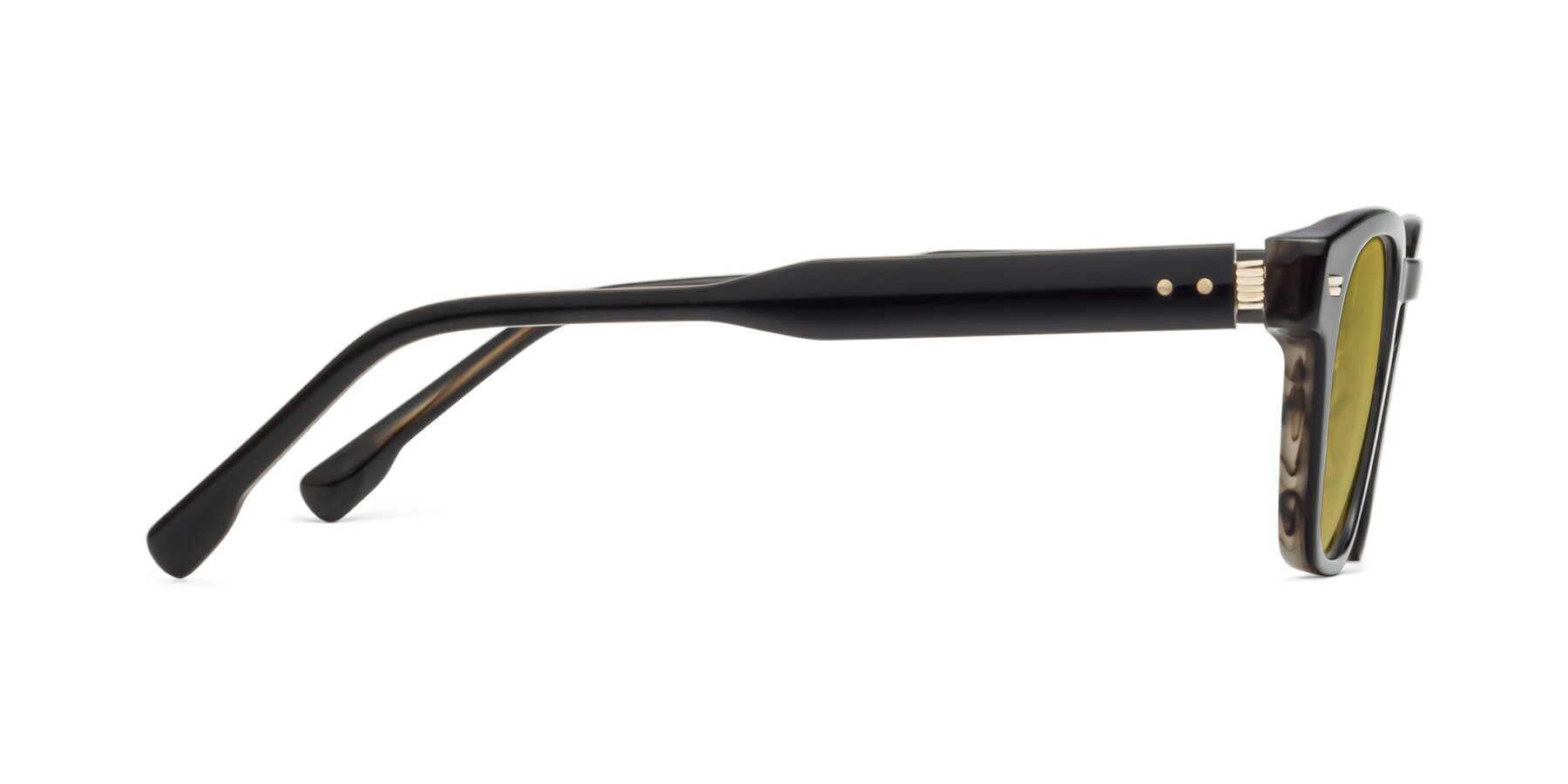 Side of 1421 in Black-Stripe Brown with Champagne Tinted Lenses