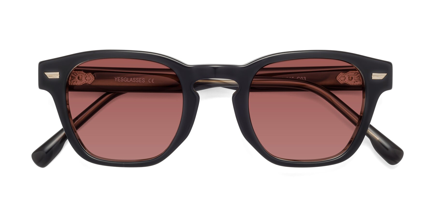 Folded Front of 1421 in Black-Stripe Brown with Garnet Tinted Lenses