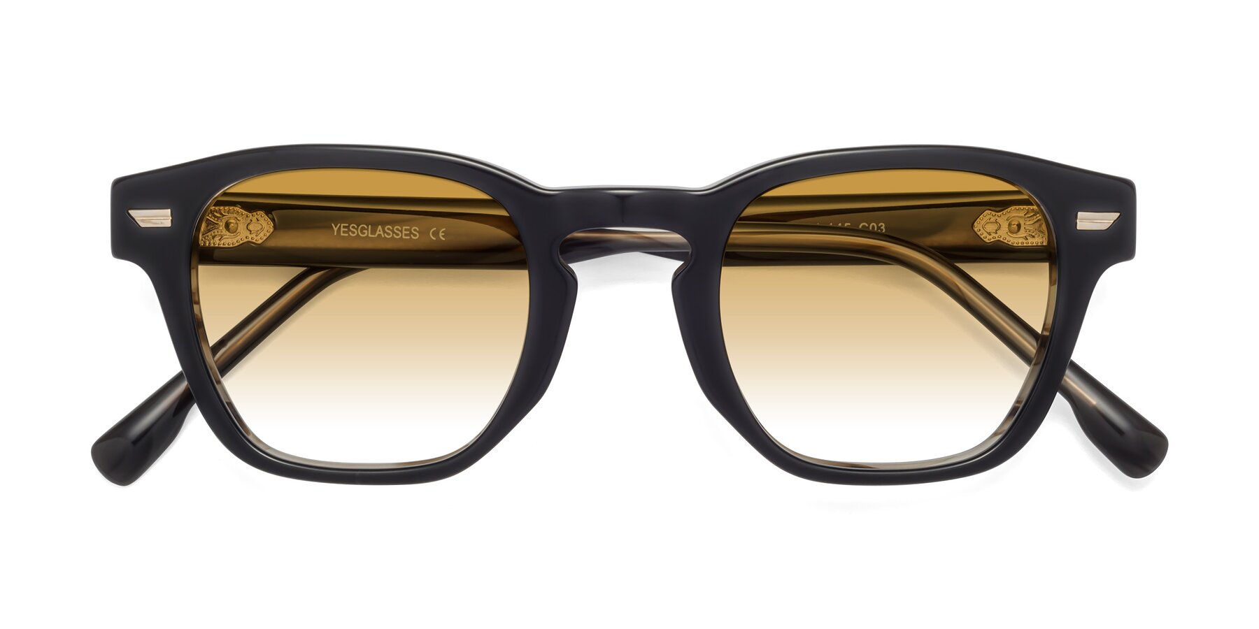 Folded Front of 1421 in Black-Stripe Brown with Champagne Gradient Lenses