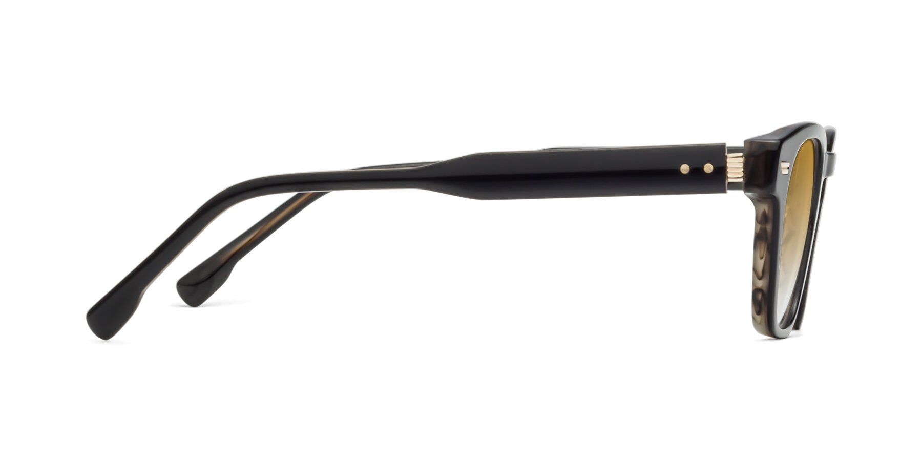 Side of 1421 in Black-Stripe Brown with Champagne Gradient Lenses