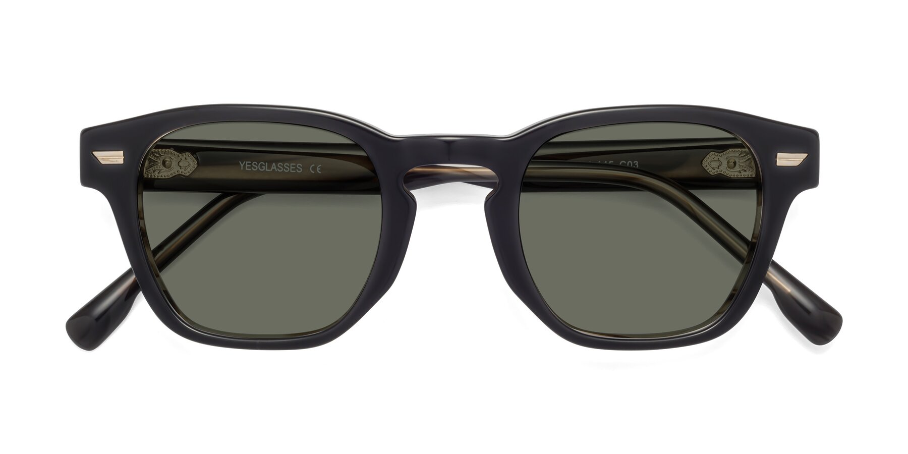Folded Front of 1421 in Black-Stripe Brown with Gray Polarized Lenses