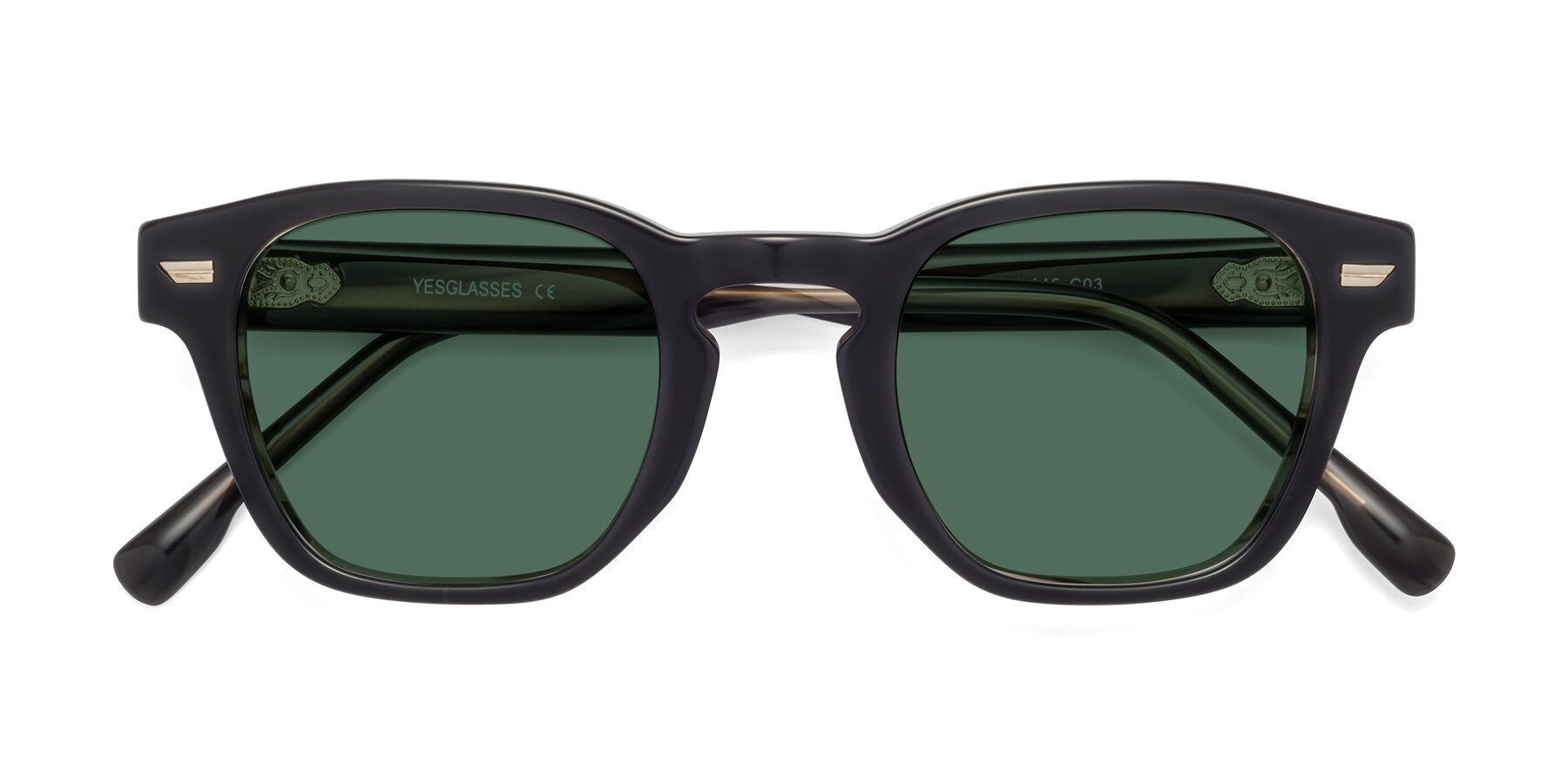 Folded Front of 1421 in Black-Stripe Brown with Green Polarized Lenses