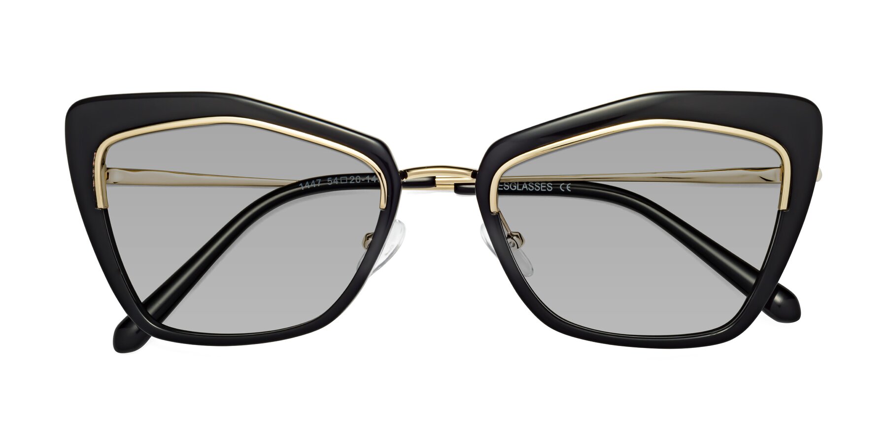Folded Front of Lasso in Black with Light Gray Tinted Lenses