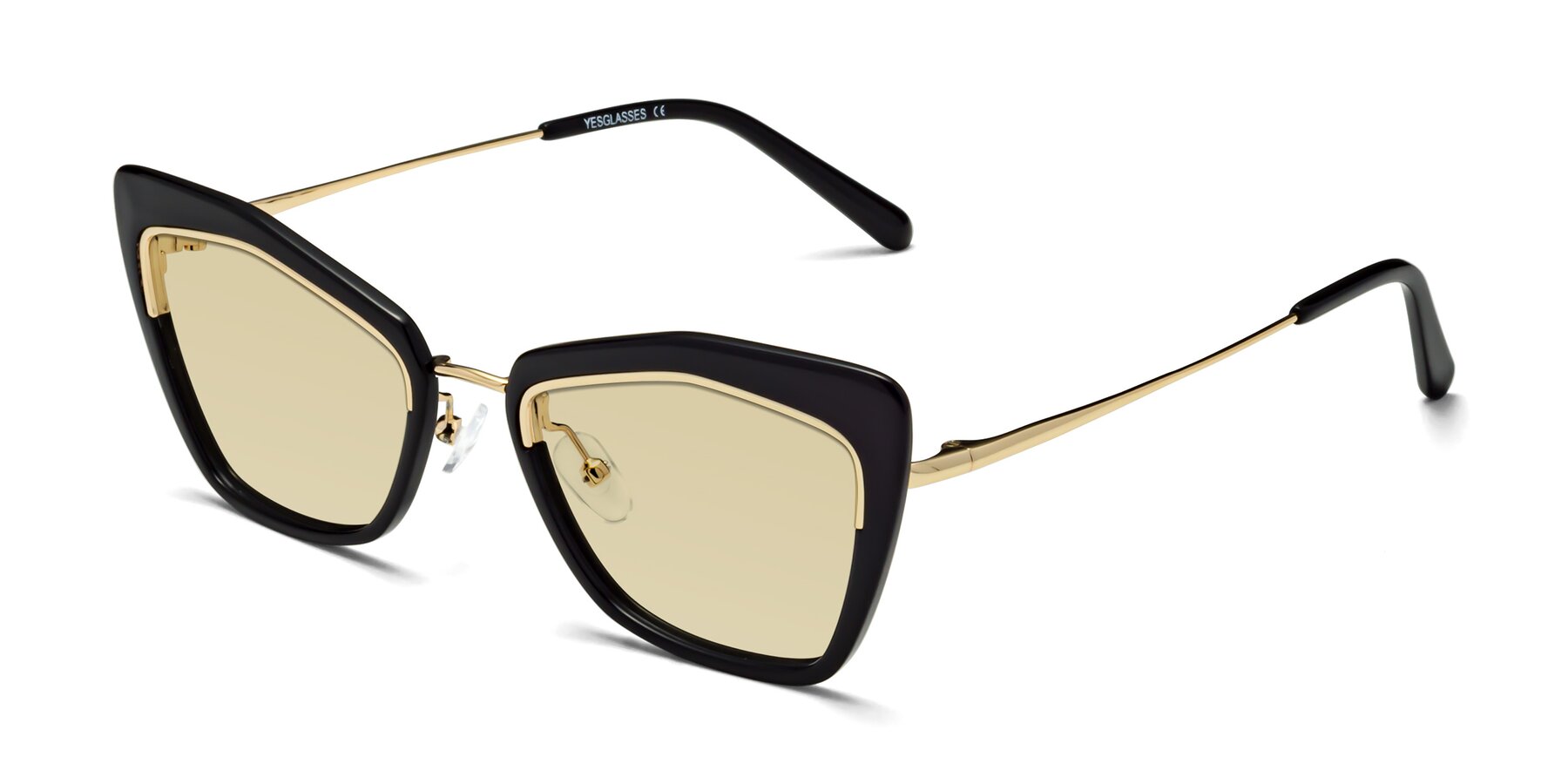 Angle of Lasso in Black with Light Champagne Tinted Lenses