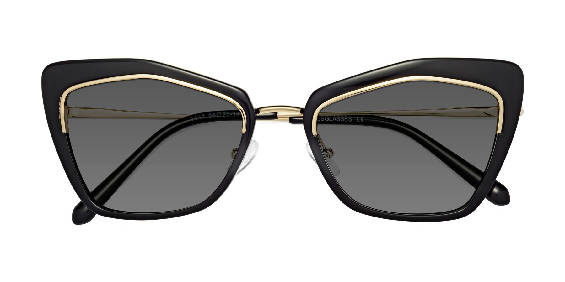 Folded Front of Lasso in Black with Medium Gray Tinted Lenses