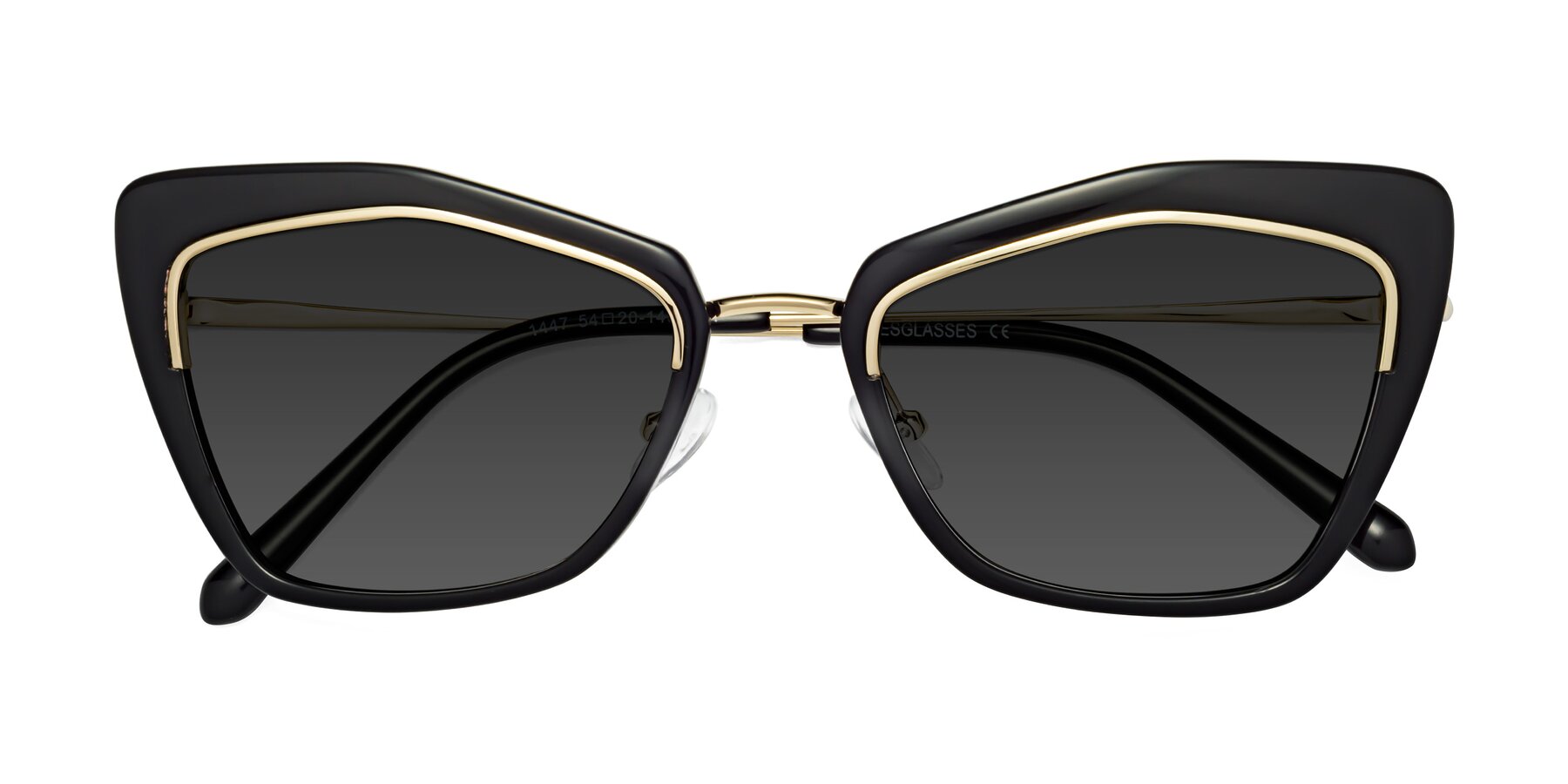 Folded Front of Lasso in Black with Gray Tinted Lenses