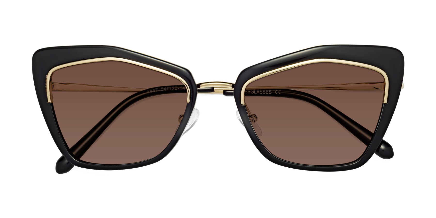 Folded Front of Lasso in Black with Brown Tinted Lenses