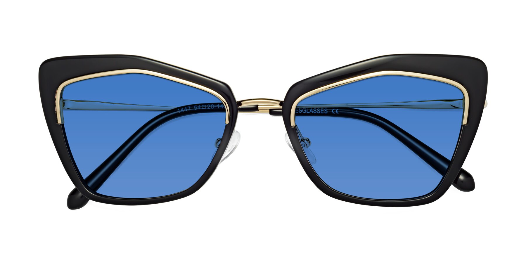Folded Front of Lasso in Black with Blue Tinted Lenses