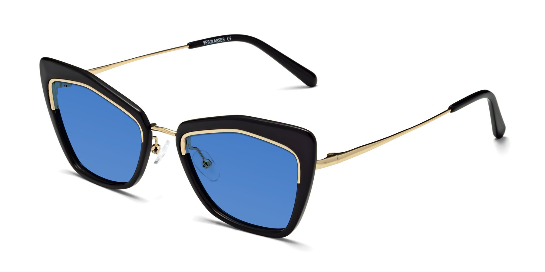Angle of Lasso in Black with Blue Tinted Lenses