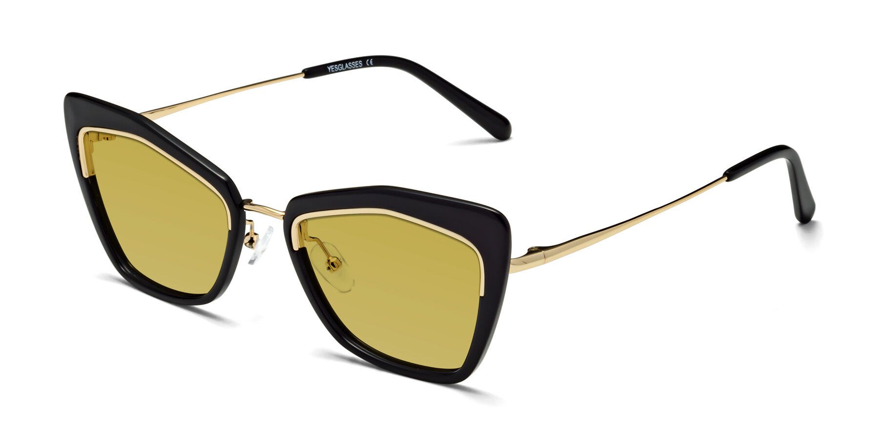 Angle of Lasso in Black with Champagne Tinted Lenses