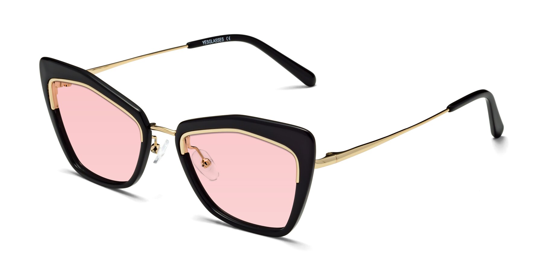 Angle of Lasso in Black with Light Garnet Tinted Lenses