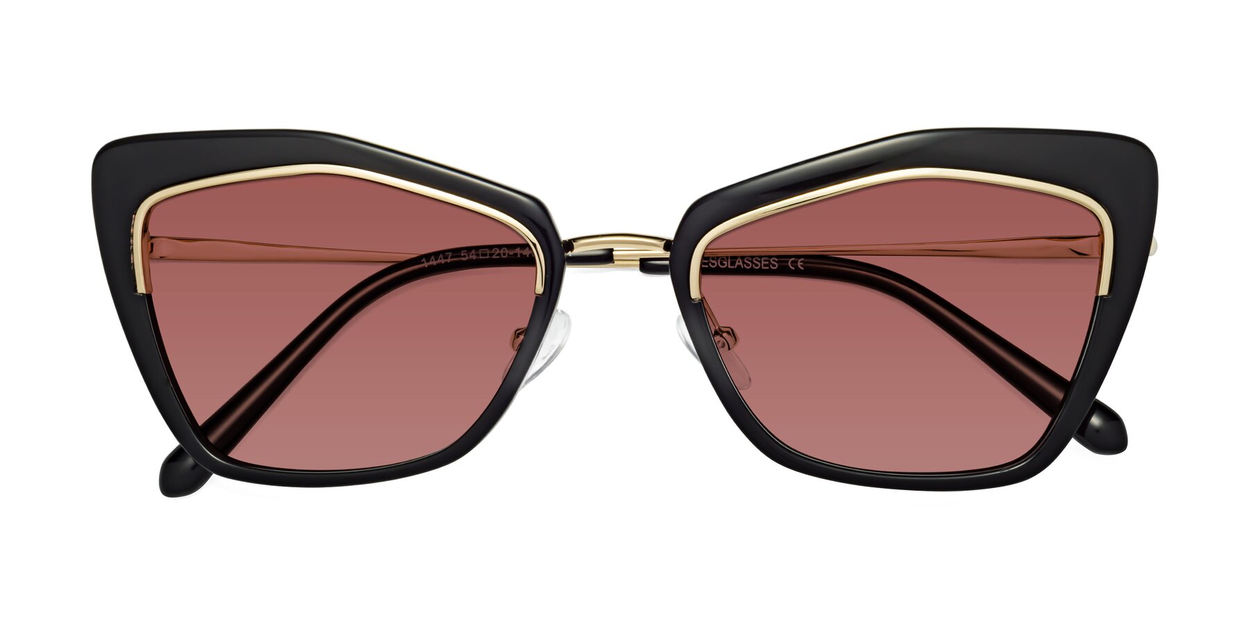 Folded Front of Lasso in Black with Garnet Tinted Lenses