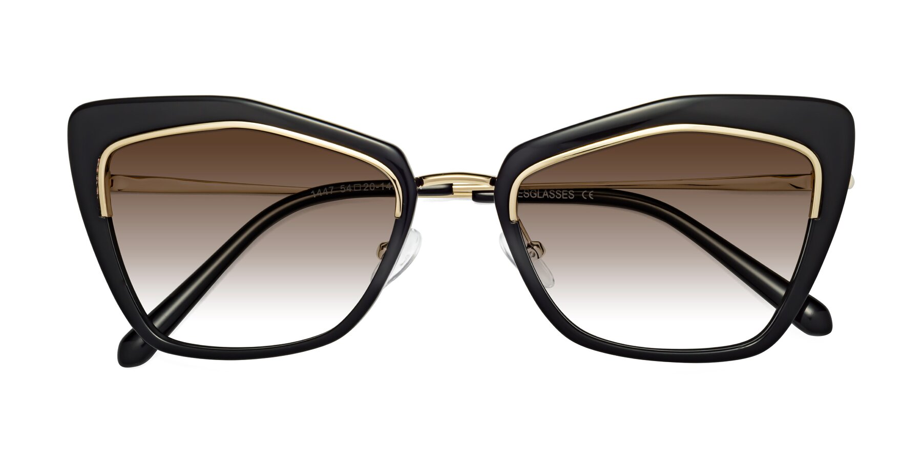 Folded Front of Lasso in Black with Brown Gradient Lenses