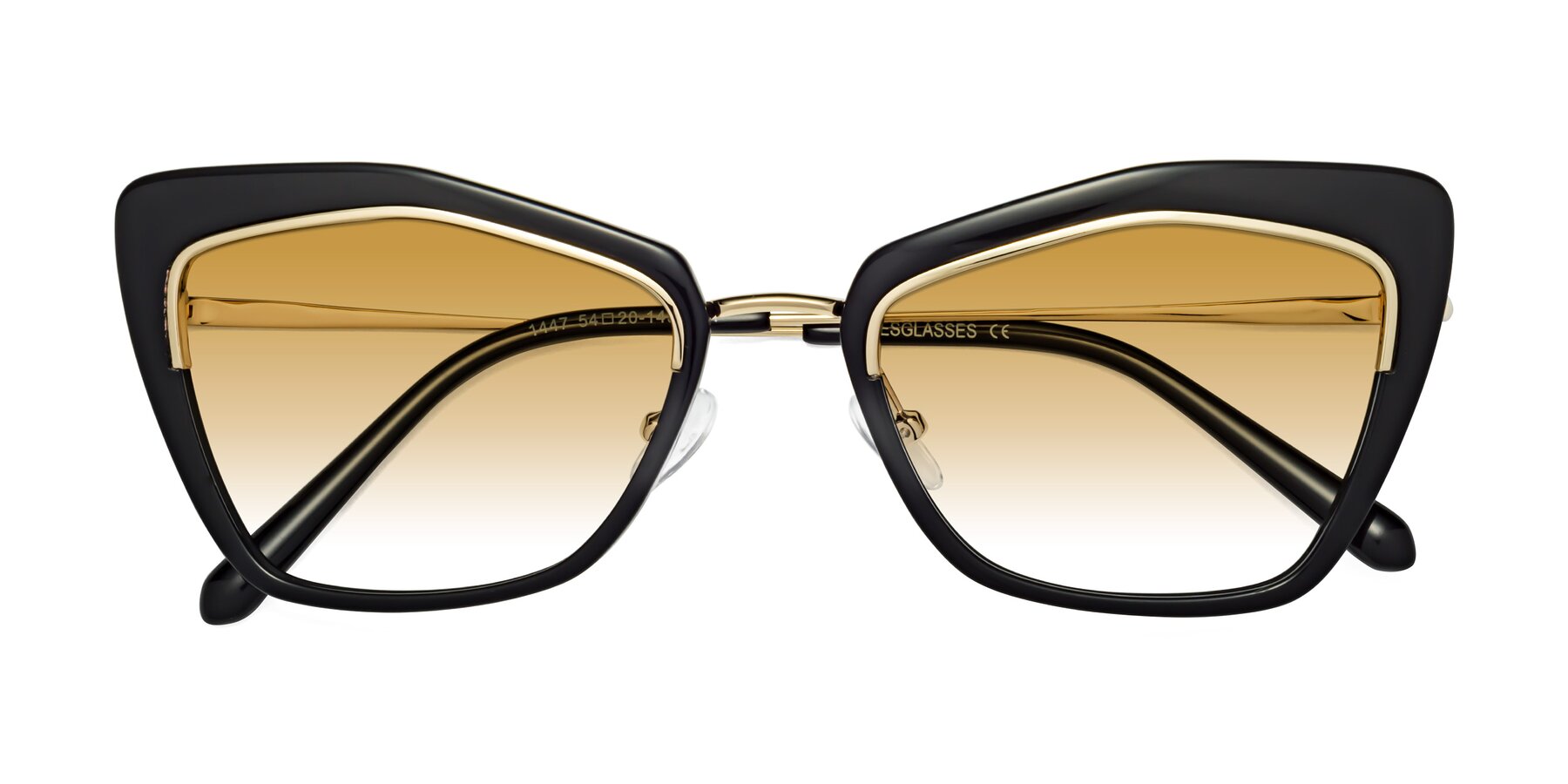 Folded Front of Lasso in Black with Champagne Gradient Lenses