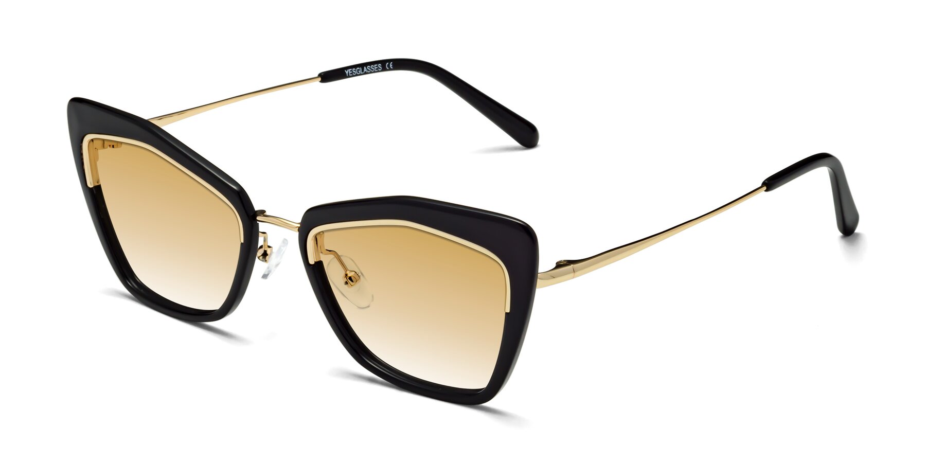 Angle of Lasso in Black with Champagne Gradient Lenses