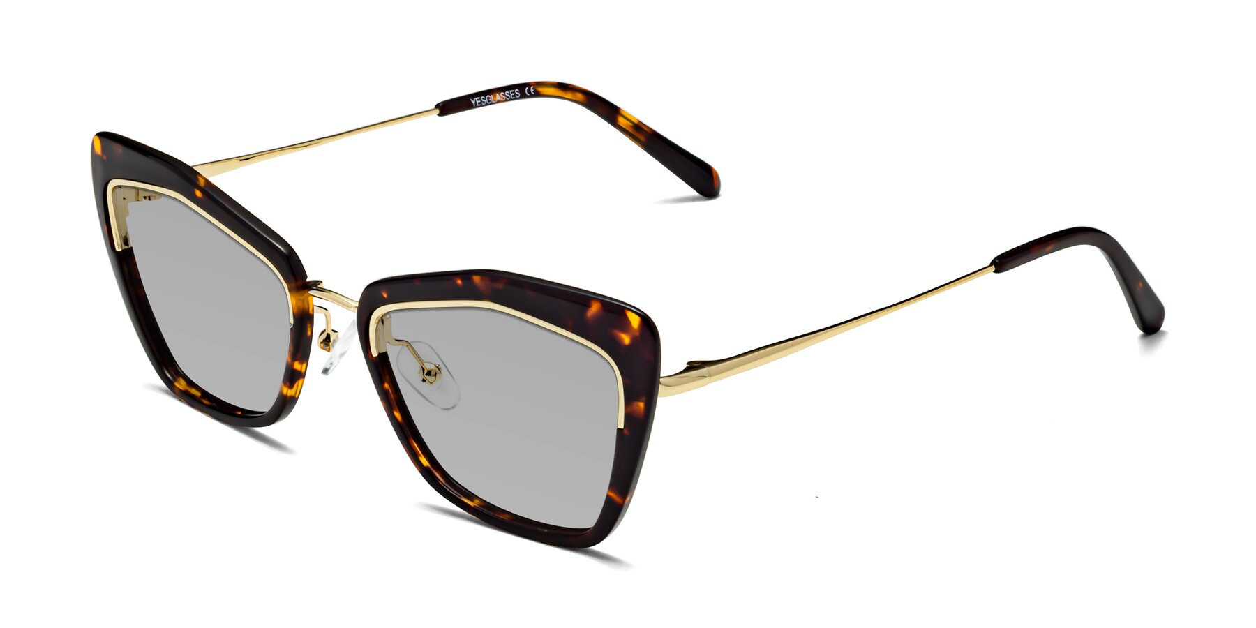 Angle of Lasso in Deep Tortoise with Light Gray Tinted Lenses