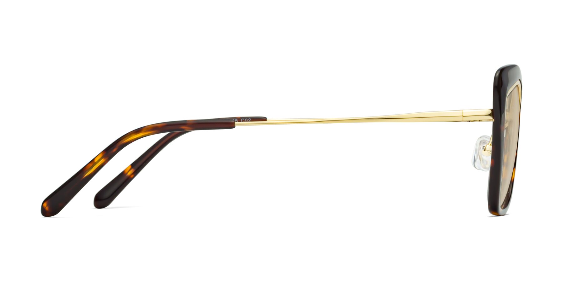 Side of Lasso in Deep Tortoise with Light Brown Tinted Lenses