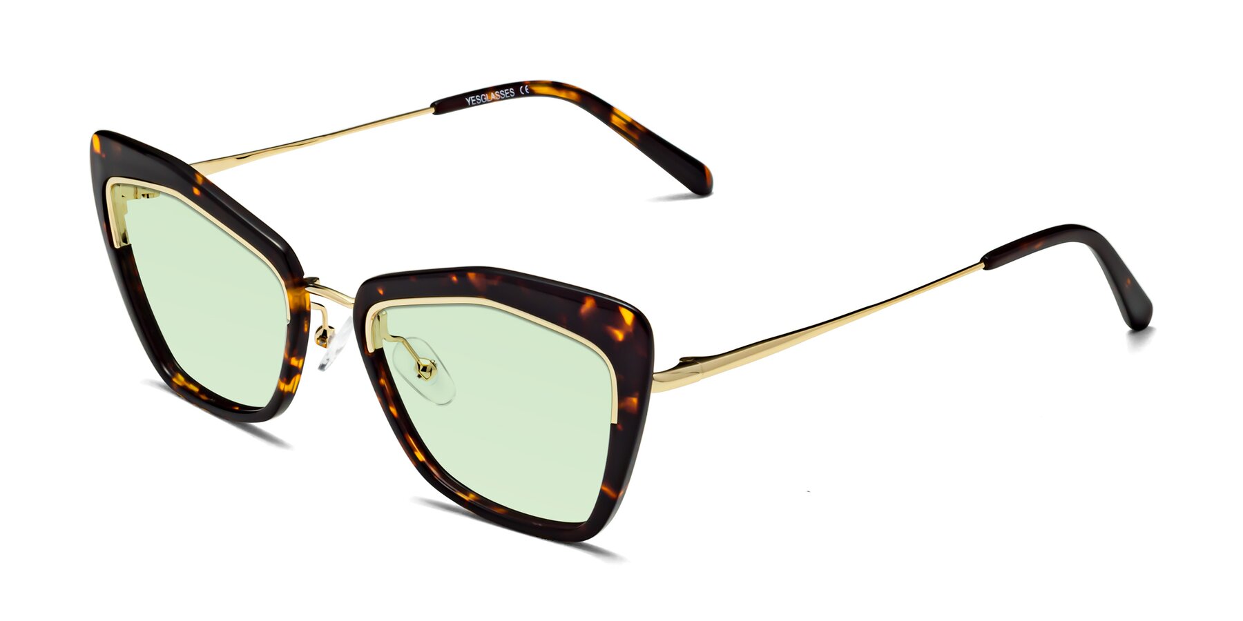 Angle of Lasso in Deep Tortoise with Light Green Tinted Lenses