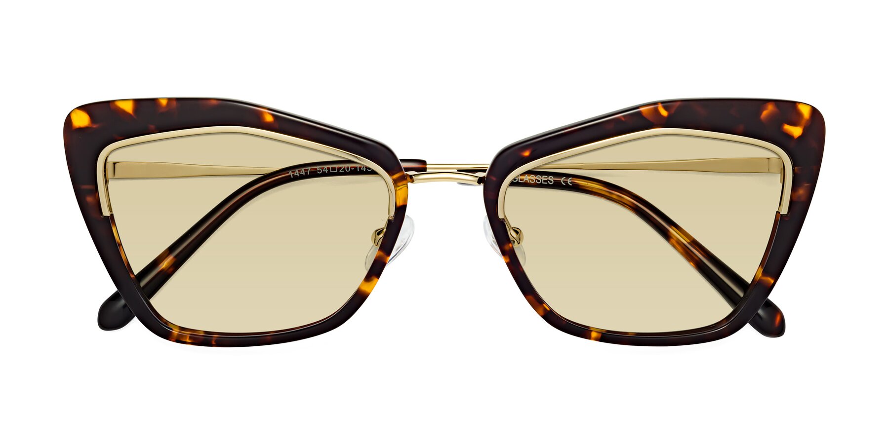 Folded Front of Lasso in Deep Tortoise with Light Champagne Tinted Lenses